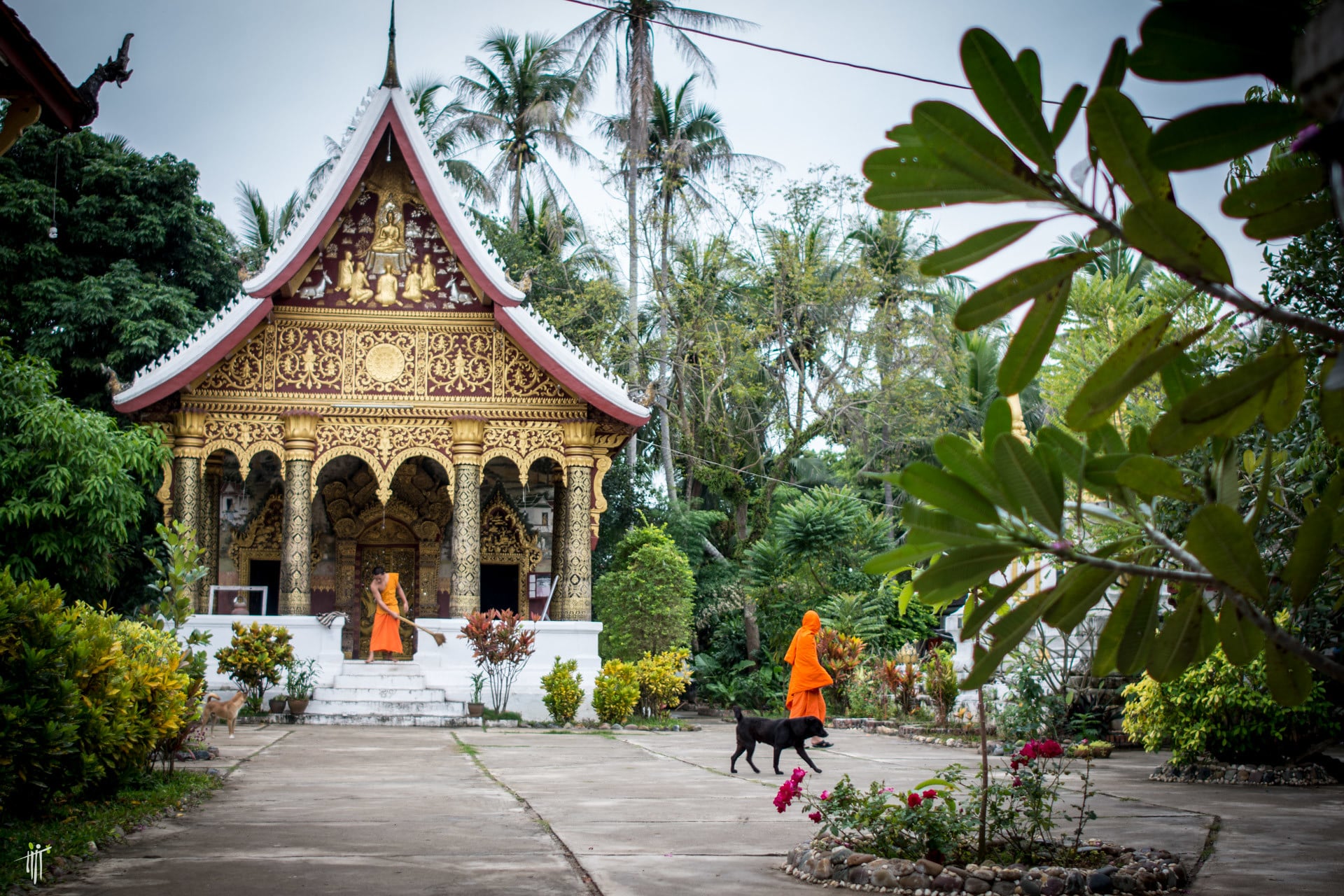 Como viajar pelo Laos tudo o que você precisa saber antes de ir